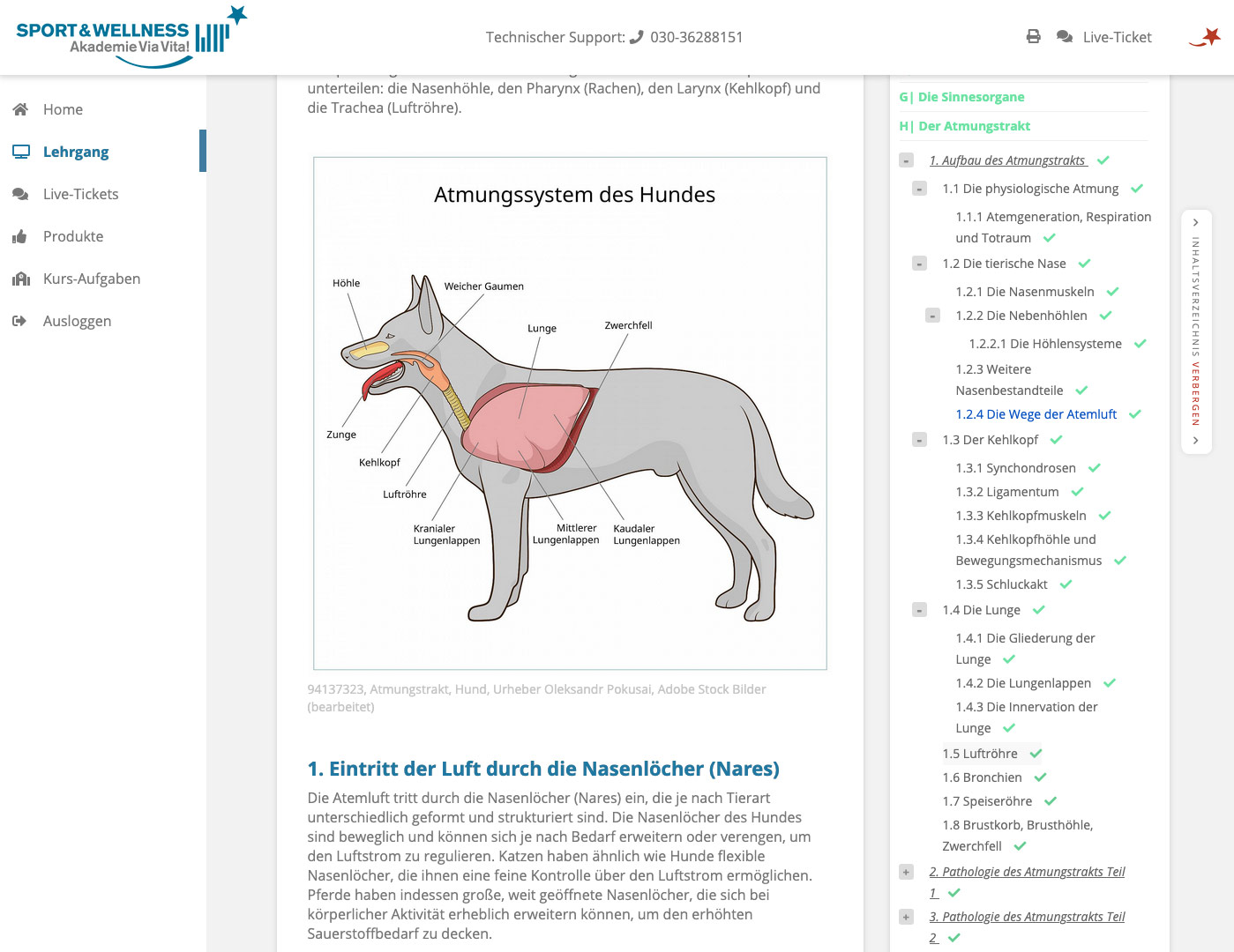 Tierheilpraktiker 4